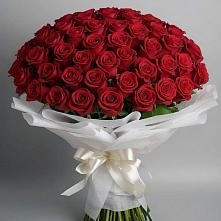 Букет 101 Красная роза Блэк Мэджик #REPLACE_PRED# Фруктовом