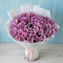 Букет цветов из:  Хризантемы в Фруктовом