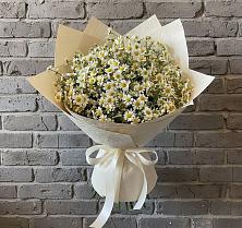 Букет цветов из:  Ромашки в Фруктовом