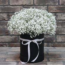 Цветочная композиция из Гипсофила в шляпной коробке в Фруктовом