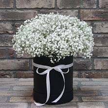 Цветочная композиция из Гипсофила в шляпной коробке в Фруктовом